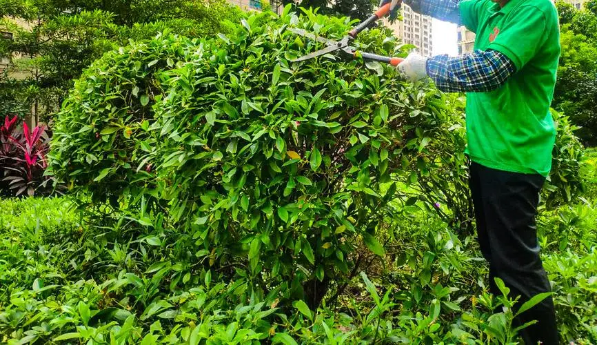 网球拍怎么背去学校打球