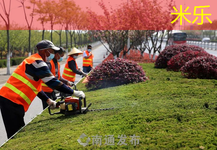 网球拍成人初学者双
