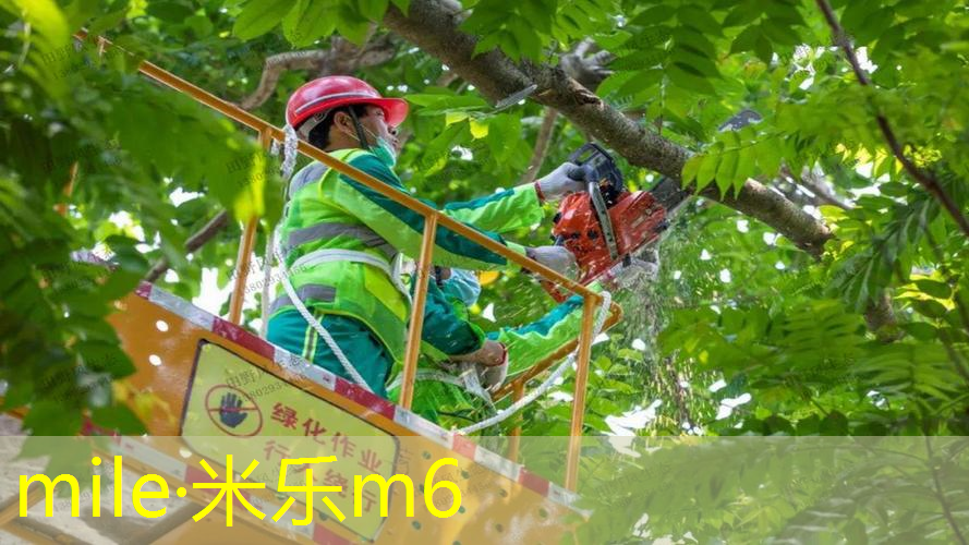 mile·米乐m6：蛋糕网球拍怎么捏的好紧