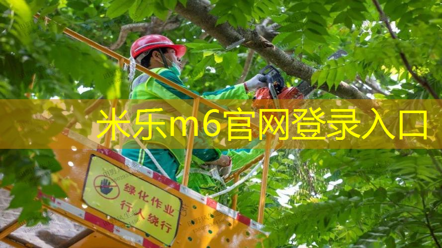 250米塑胶跑道标准尺寸