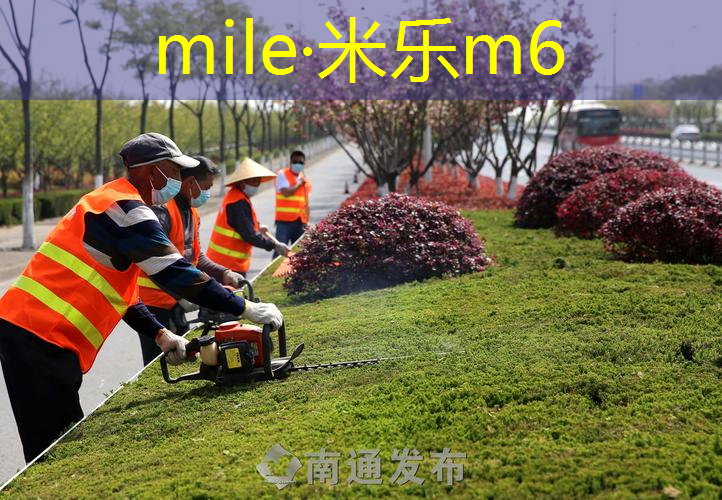 米乐m6官网登录入口：小篮球必备器材有什么