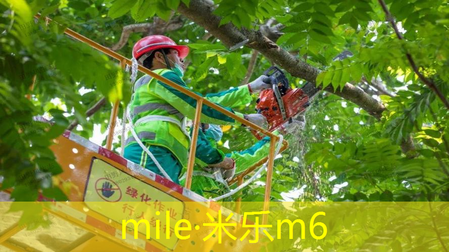 米乐m6官网：凯威室内健身器材