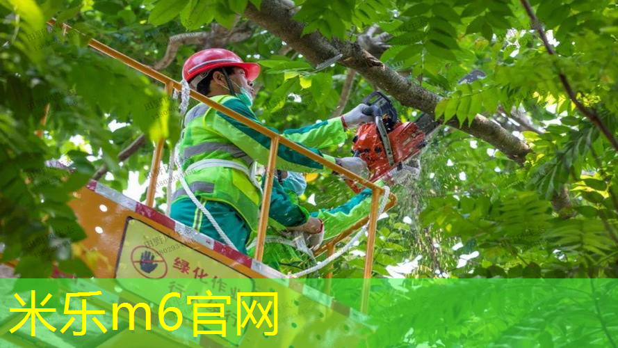 mile米乐m6官网：室内健身动作热身