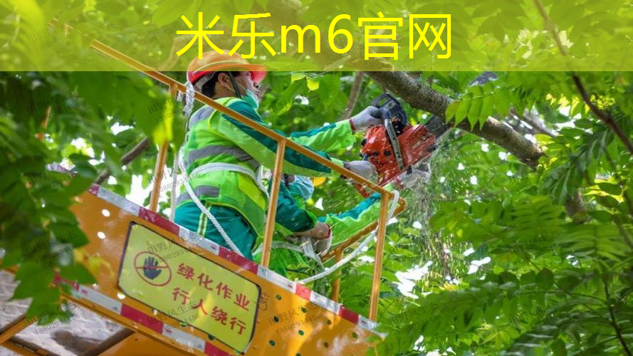 网球拍线硬的好还是软