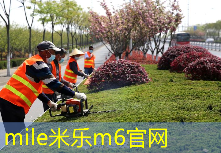 威尔逊网球拍哪种最好