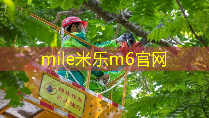 250米塑胶跑道标准尺寸