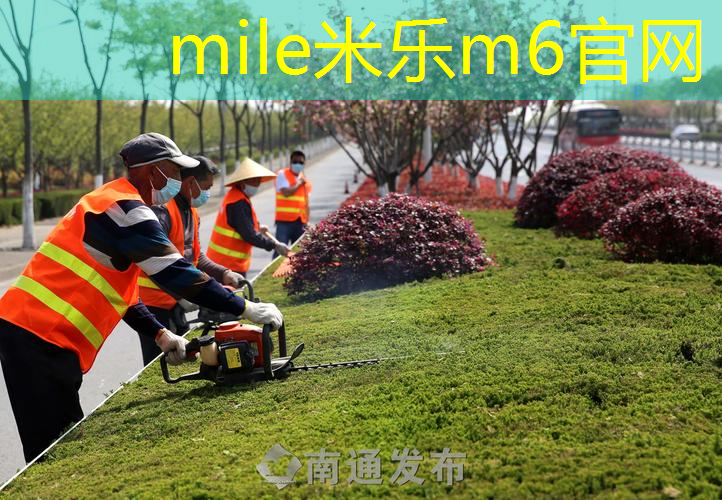 小篮球必备器材有什么