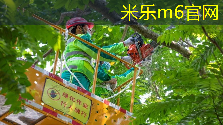 室内瑜伽运动健身