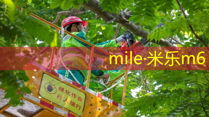 卧室拍篮球器材